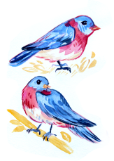 cute pink yellow blue watercolor bird painting wildlife illustration