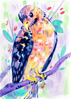 Mixed media stylized illustration of a blue and yellow hawk on a branch